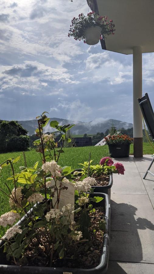 Club Dres Appartement Bockau Buitenkant foto
